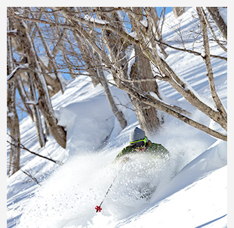 パウダースノー