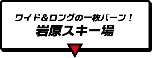 ワイド＆ロング！ 岩原スキー場