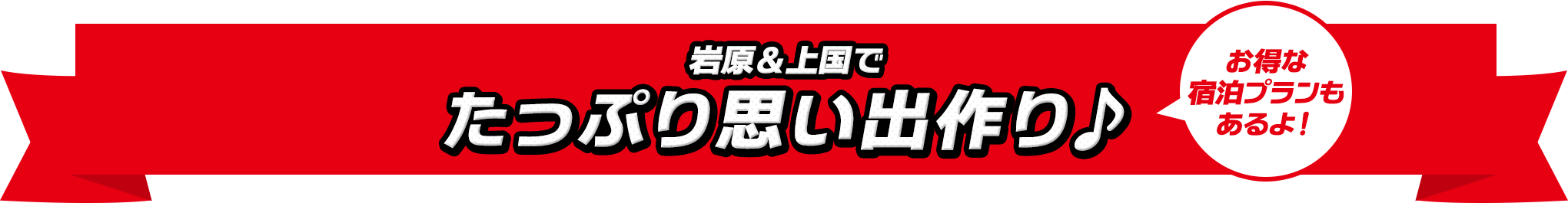 岩原＆上国でたっぷり思い出作り♪ お得な宿泊プランもあるよ！