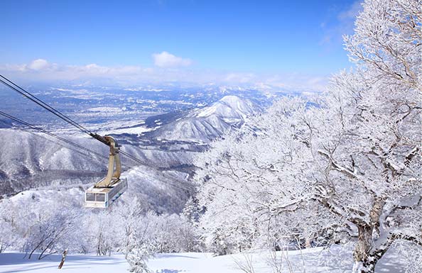 雪化粧した木々とゲレンデ