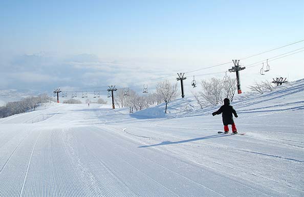 ゲレンデを滑る一人のスノーボーダー