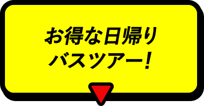 お得な日帰りバスツアー！