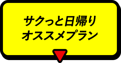 サクっと日帰りオススメプラン