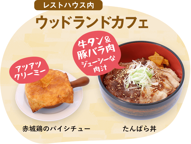 ウッドランドカフェ（レストハウス内）