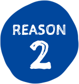 REASON2