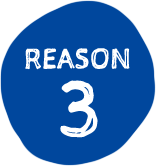 REASON3