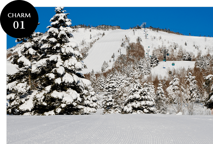 焼額山スキー場 コース