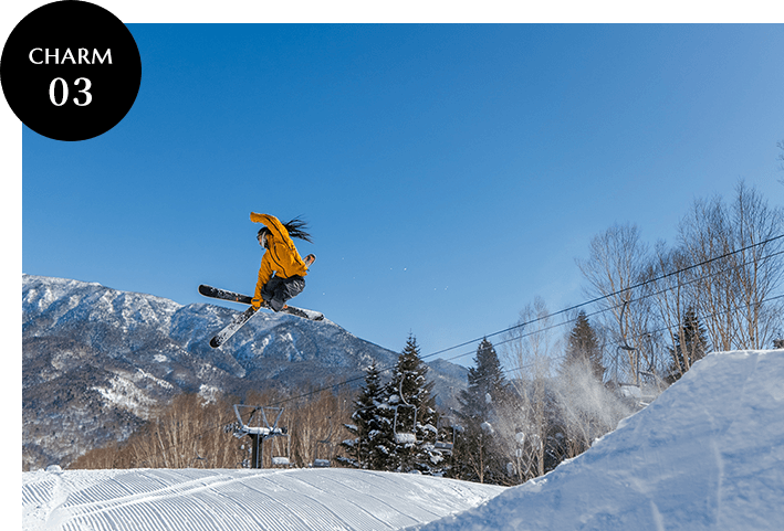 トリックを決めるスキーヤー