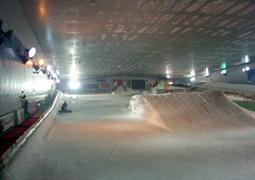 スノーヴァ新横浜