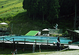 若杉高原おおや サマーゲレンデ