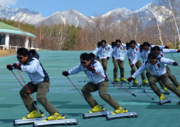 八ヶ岳自然文化園グレステンサマースキー場