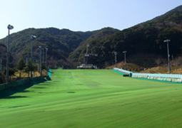 サンビレッジ茜人工スキー場